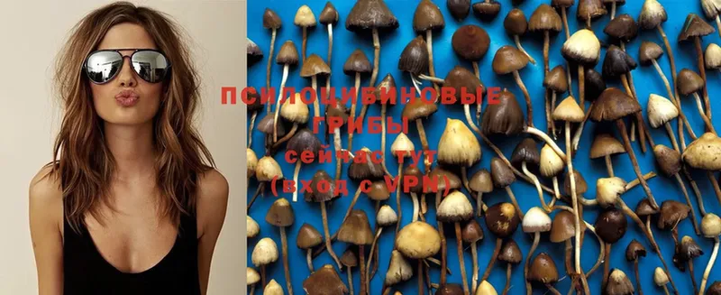 Псилоцибиновые грибы Magic Shrooms Верхотурье